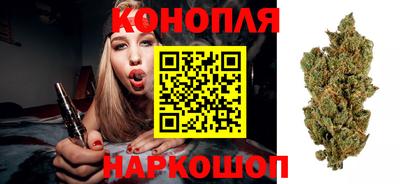 apvp Севастополь