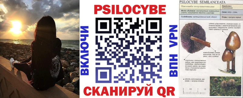 Галлюциногенные грибы Psilocybe  мега зеркало  Отрадное 
