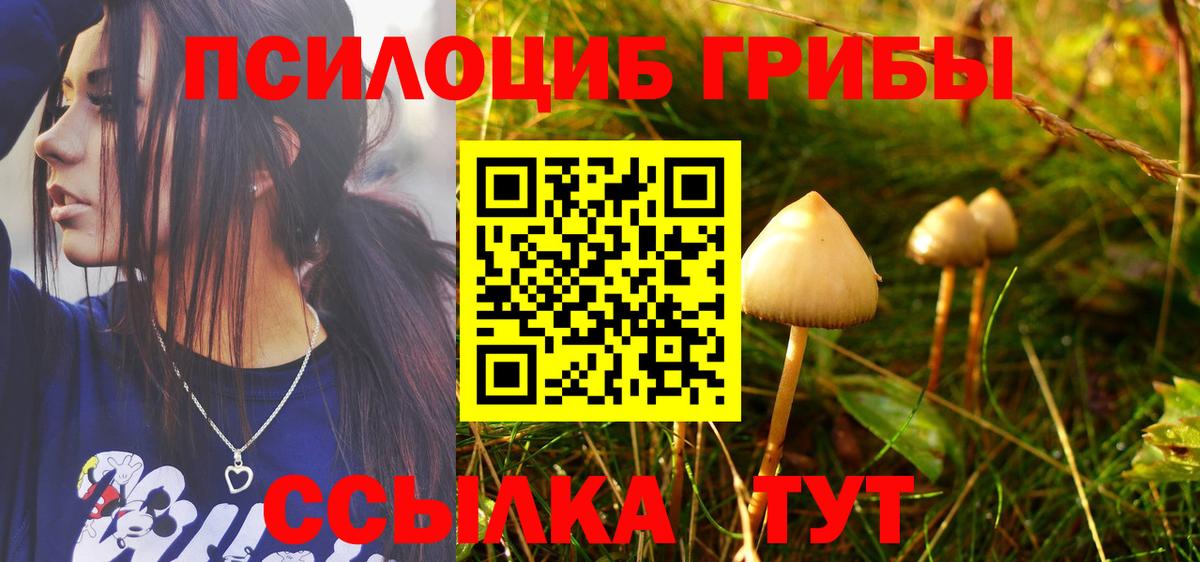 Отрадное  Галлюциногенные грибы мицелий  Галлюциногенные грибы MAGIC MUSHROOMS  Вход с VPN 